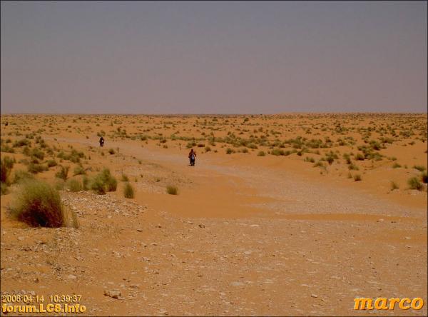 Marc nach Ghilane - 002