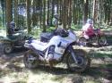 Vorheriges Bild