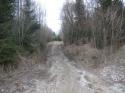 Vorheriges Bild