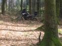 Vorheriges Bild