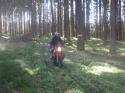 Nchstes Bild