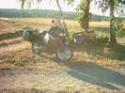 Vorheriges Bild