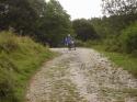 Vorheriges Bild