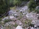 Vorheriges Bild
