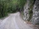 Vorheriges Bild