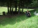 Nchstes Bild