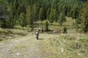 Vorheriges Bild