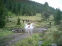 Vorheriges Bild