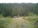 Nchstes Bild