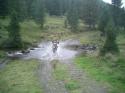 Nchstes Bild