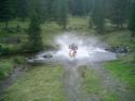 Vorheriges Bild