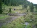 Nchstes Bild
