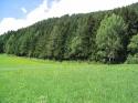 Vorheriges Bild