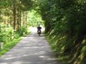Vorheriges Bild