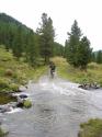 Vorheriges Bild