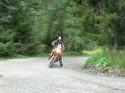 Vorheriges Bild