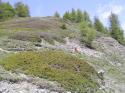 20060619-124246-IS.JPG