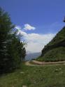 20060619-134904-PF.JPG