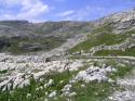 Vorheriges Bild