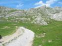 20060622-152814-TB.JPG