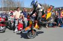 Vorheriges Bild