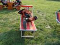 Vorheriges Bild