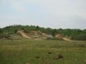 20070429-153036-MF.JPG