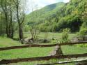 Vorheriges Bild