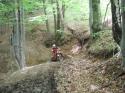 Vorheriges Bild