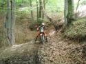 Vorheriges Bild
