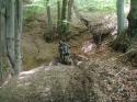 Vorheriges Bild
