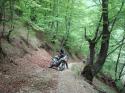 Nchstes Bild