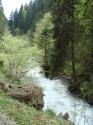 Nchstes Bild