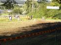 Vorheriges Bild