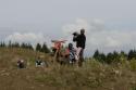 Vorheriges Bild