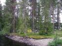 Vorheriges Bild
